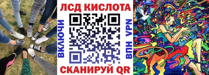 как найти Олонец мега Марки NBOMe 1,5мг