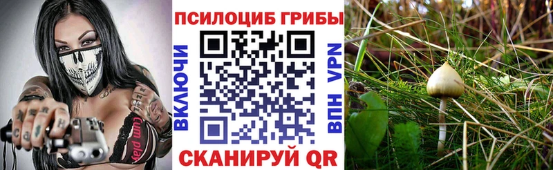Псилоцибиновые грибы Magic Shrooms  Олонец 